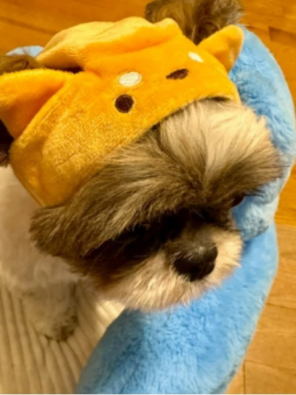 Cozy Orange Plush Dog Hoodie with Ear Accent